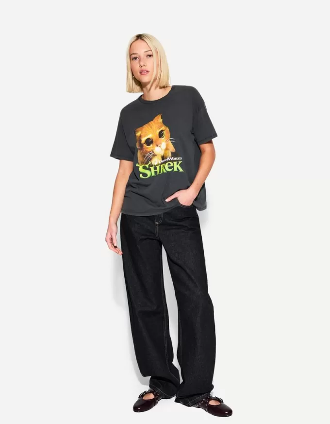 Camiseta manga corta estampado Shrek Grey Camiseta manga corta estampado Shrek Grey